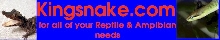 My Bumper Sticker