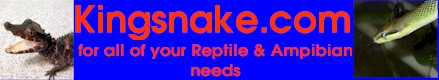 My Bumper Sticker