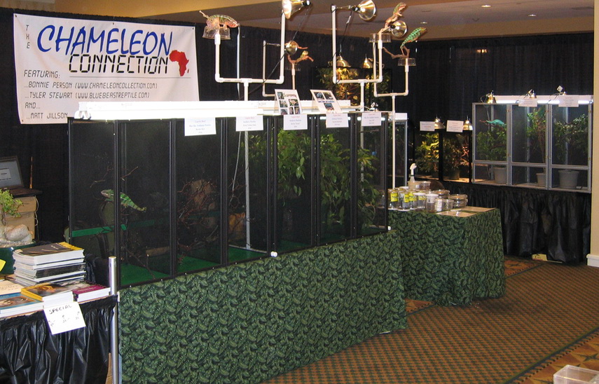 Chameleon Connection booth