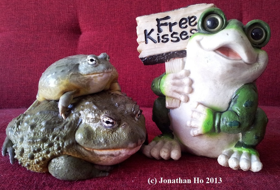 Happy Valentine's Day!