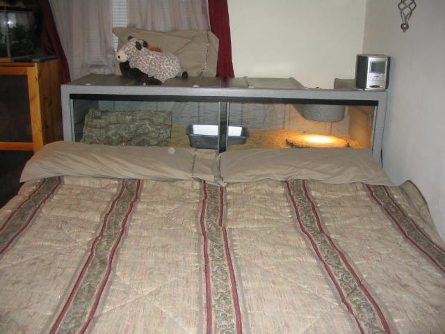 Check out this headboard!!