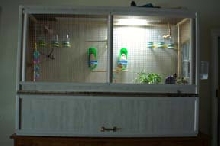 Flight cage for goudian finches