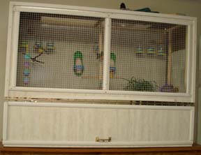 New flight cage for gouldian finches