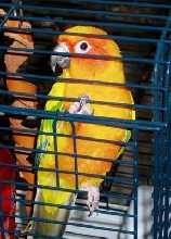Skittles - 9/27/05