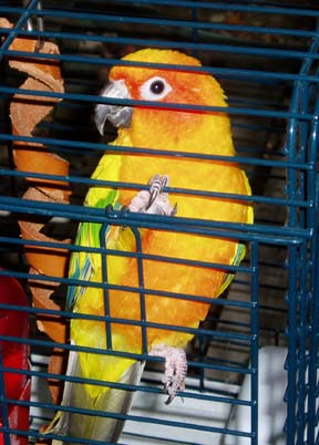 Skittles - 9/27/05