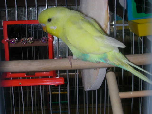 Look at me!!