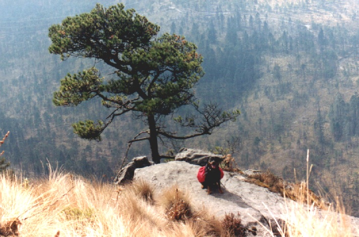 Booker on the Mountain