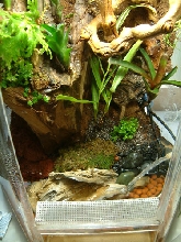 15gal viv - bottom view