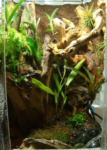 15gal Viv-full view
