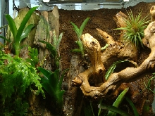 15gal viv-top view