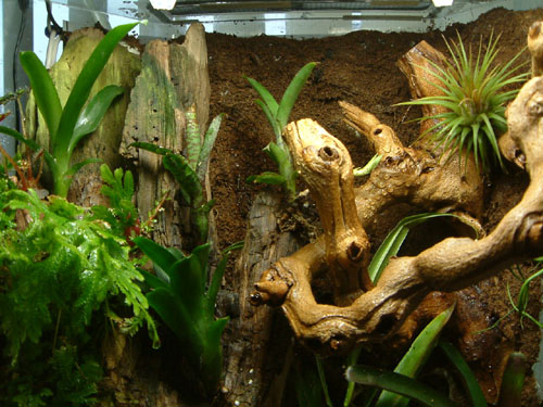 15gal viv-top view