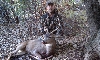 10/27 Buck