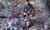 Buck 10/27