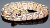 Hypo Female