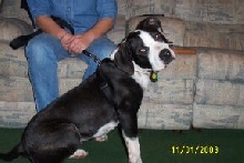 Lilli again