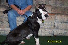 Lilli again