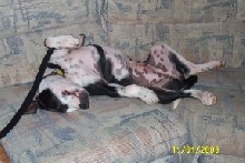 Snoozing