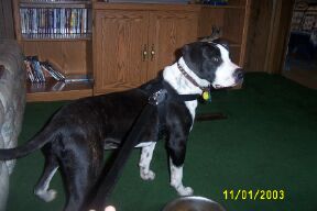 Lilli looking
