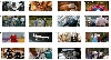 guess the movie