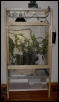 chameleon cage