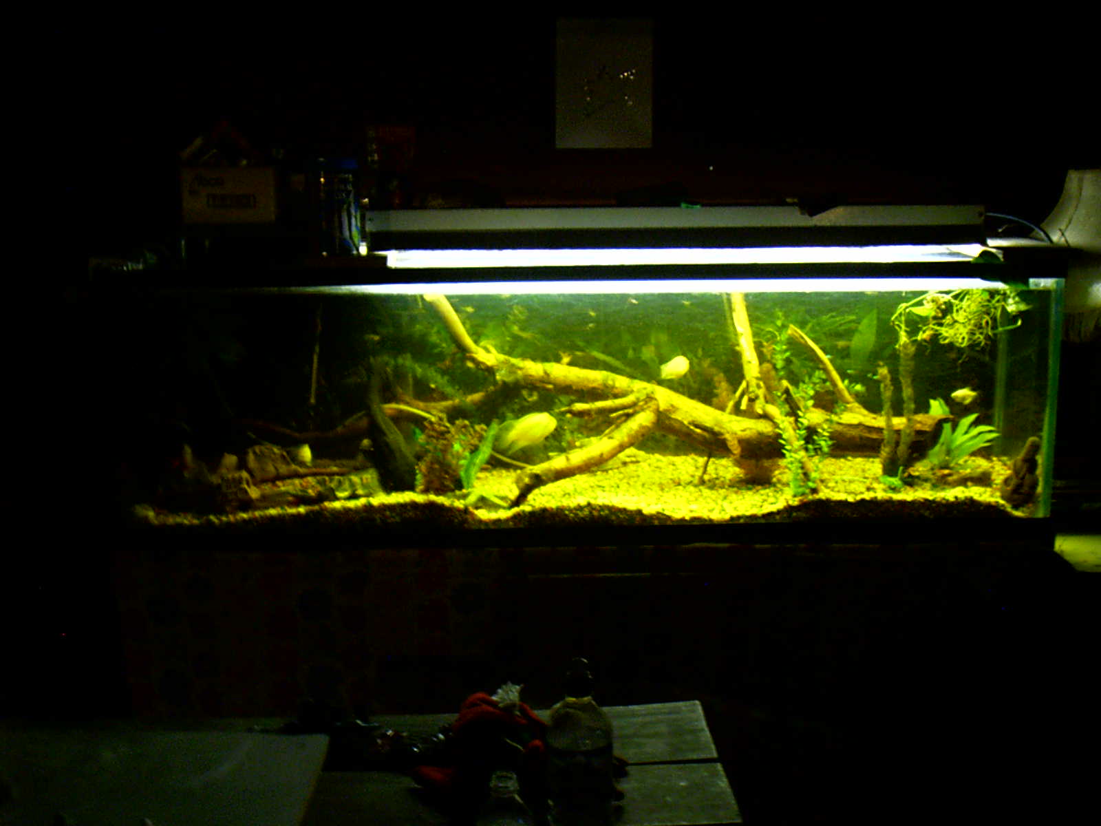 120 gl lake