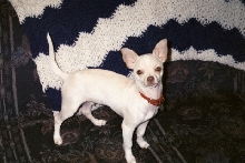 Peanut - 5 months