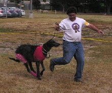 The Relay Race