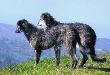 Annie and Randa