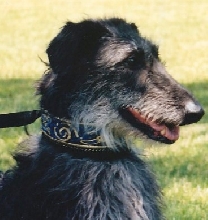 Rhia
