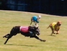 Coursing