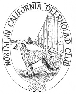 NCDC Logo