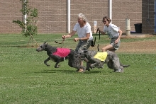 Catch US If You Can!