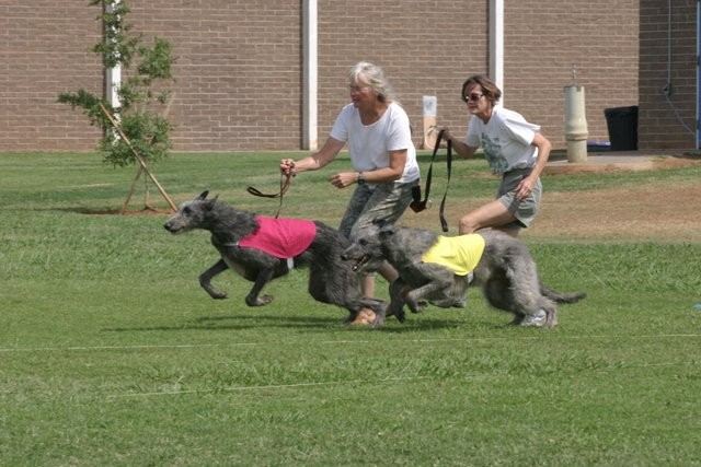 Catch US If You Can!