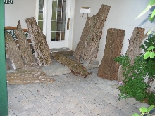 bark