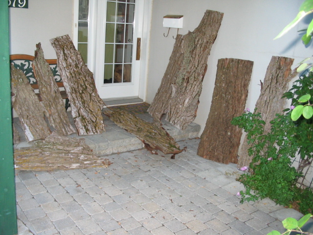 bark