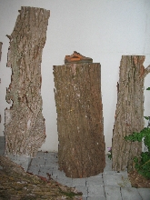 bark