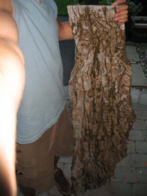bark