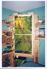 monitor enclosure