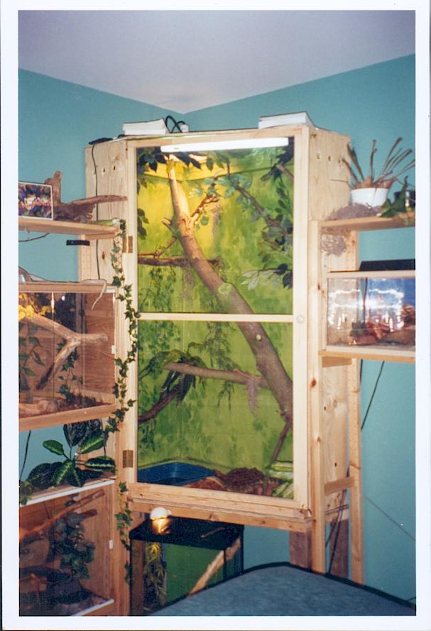 monitor enclosure