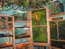 my room