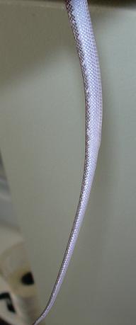 female?