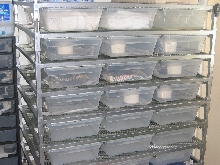 Homemade Metal Rack