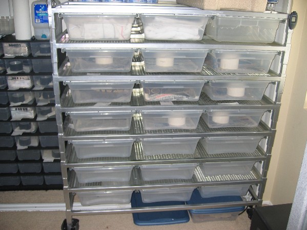 BP Rack