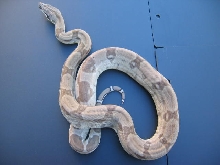 ghost female