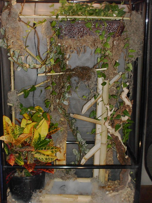 Cham Cage