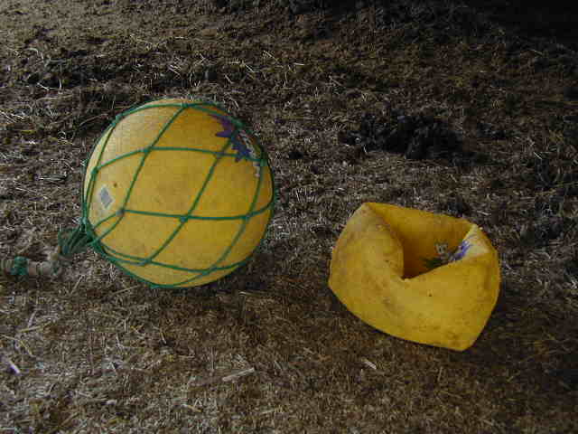An inventive horse toy