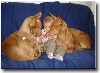 My three girls
