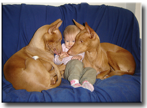 My three girls