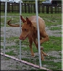 Agility with Nahla