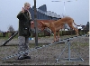 Agility with Zäta
